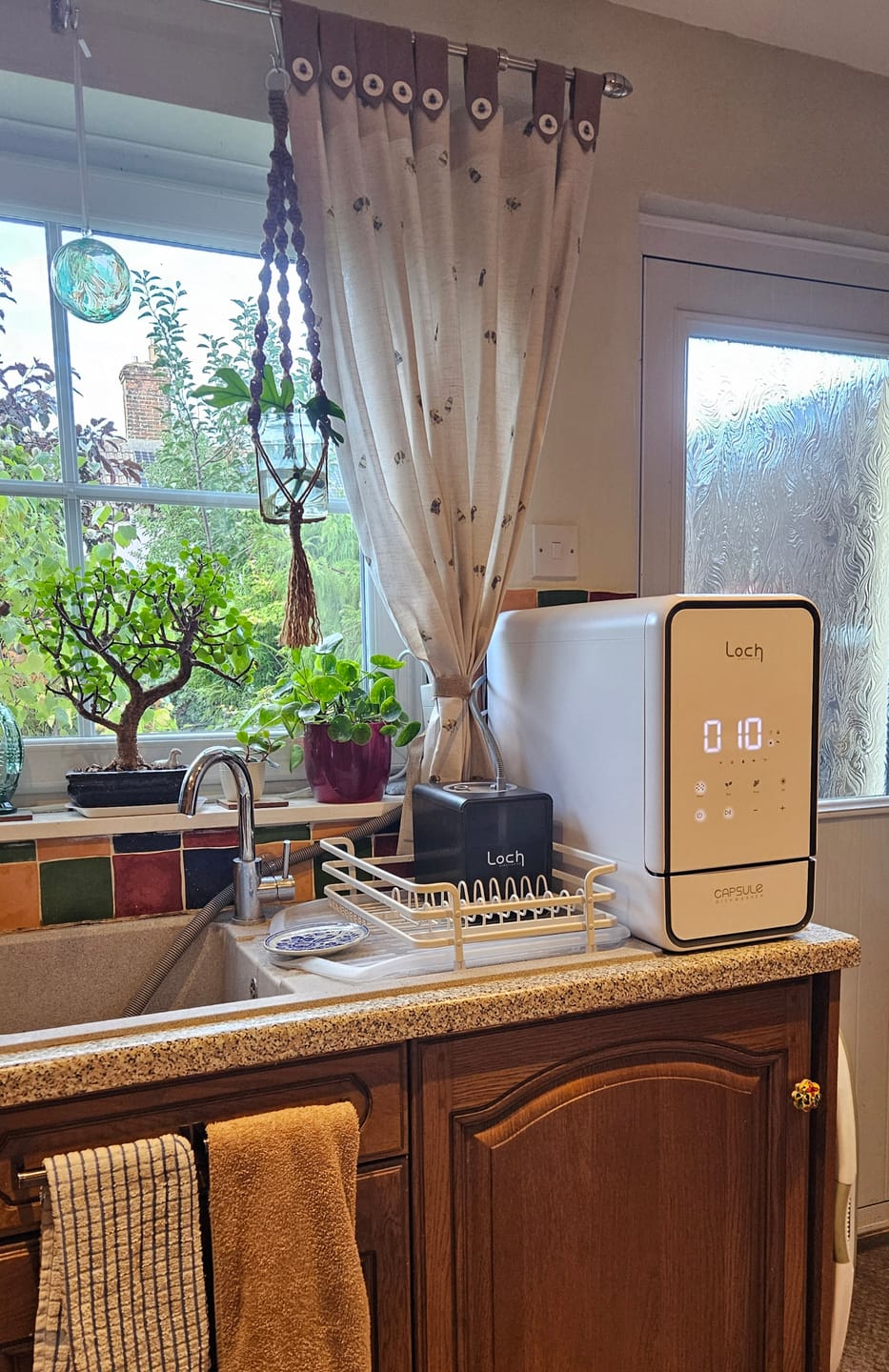 Customer photo review of Capsule Dishwasher