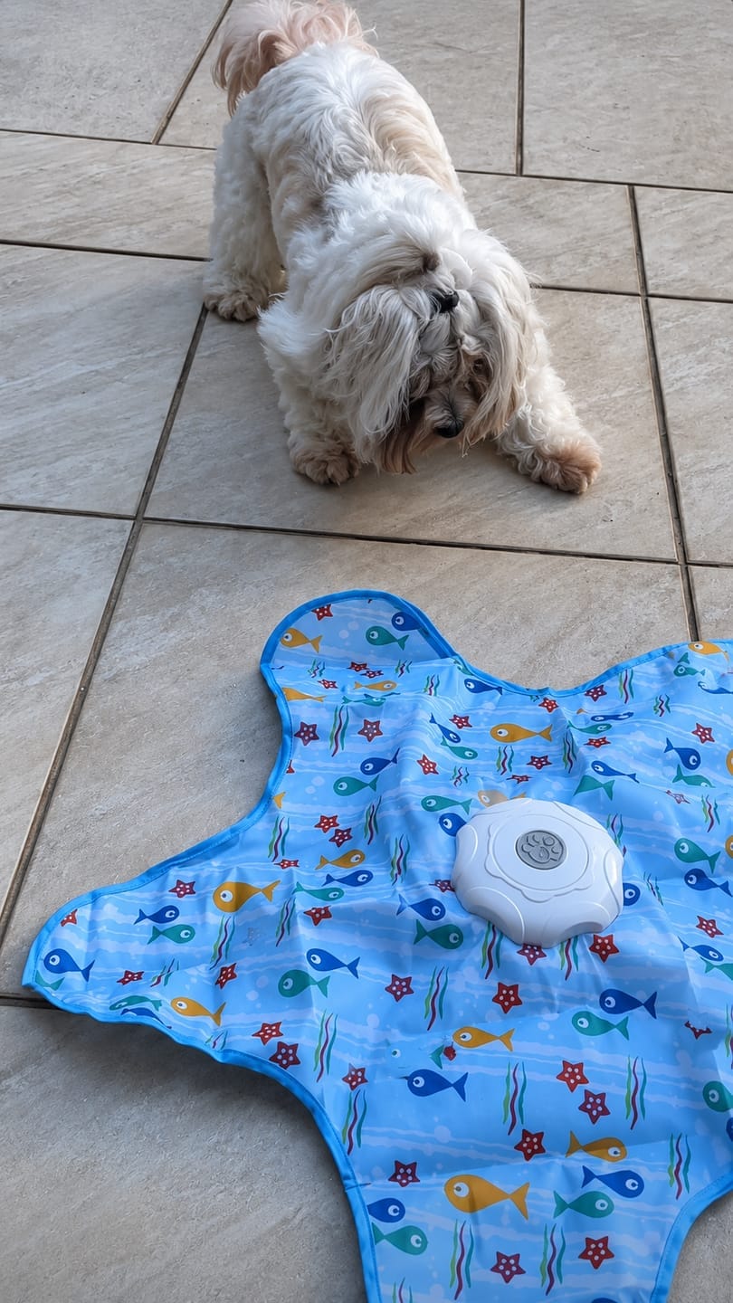 Customer photo review of Pawzzle™ Interactive Dog Toy