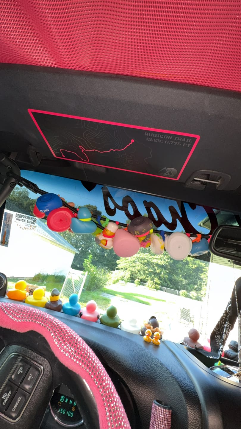 Customer photo review of Sun Visor Decal Set – Covers OEM Warning Labels | Driver + Passenger Pair