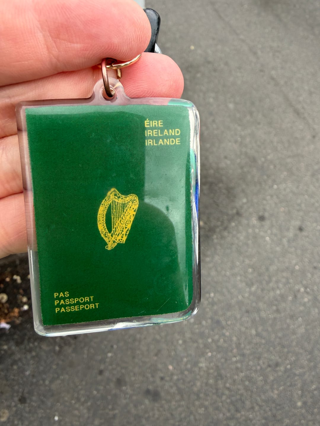 Customer photo review of Irish Passport Keyring | 29 Design