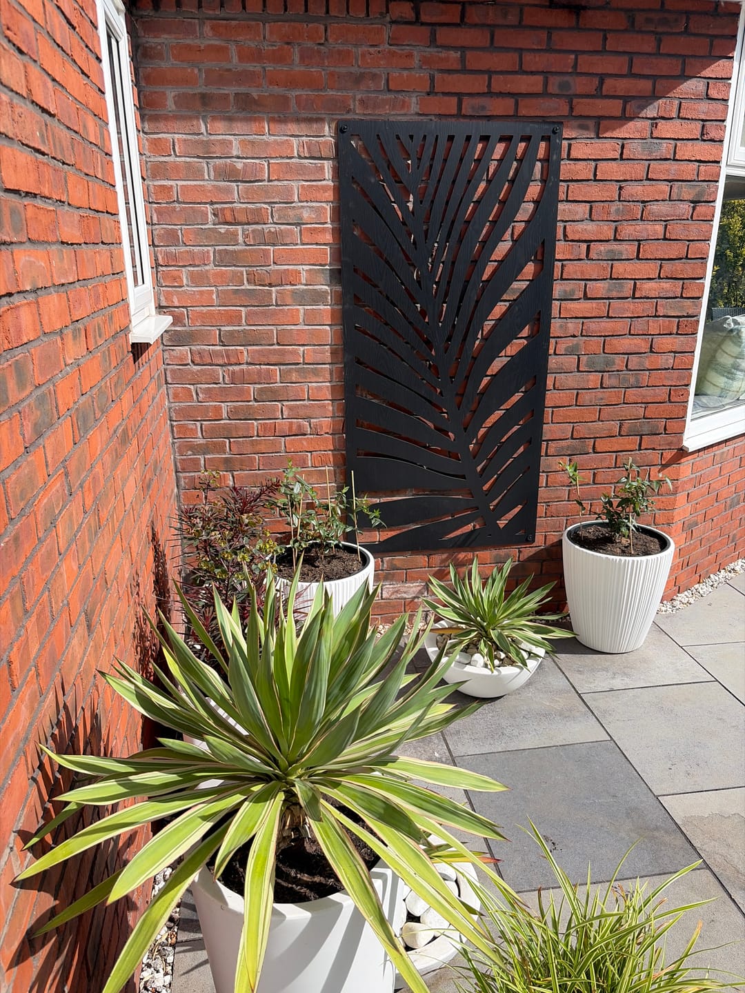 Customer photo review of 3 Black Frond Large Screens - 5mm