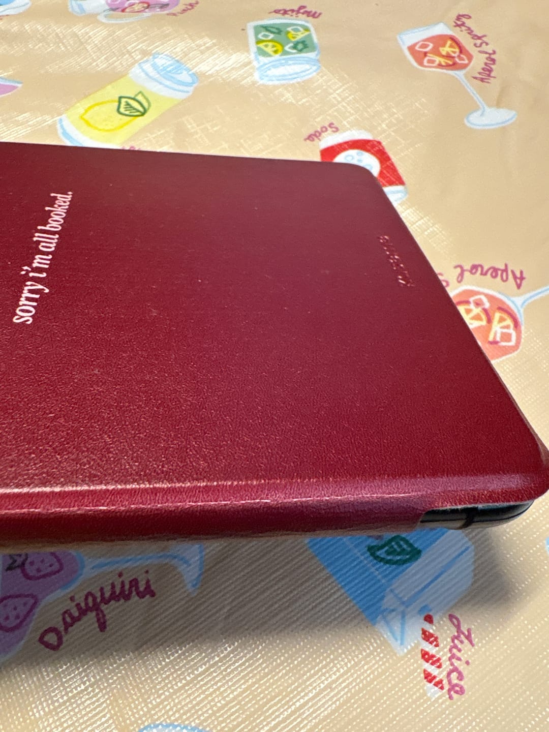 Customer photo review of Booked & Busy E-Reader Case