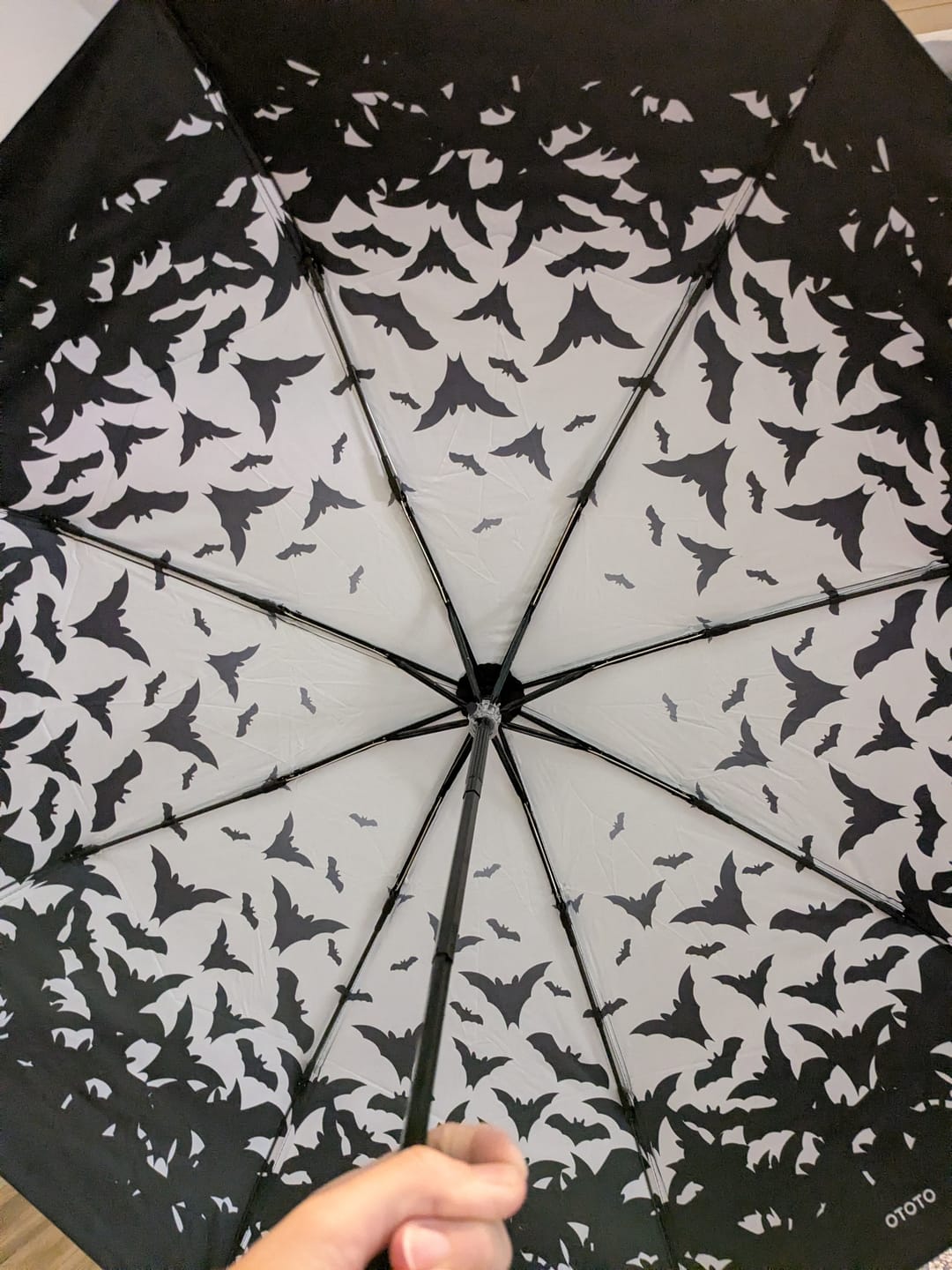 Customer photo review of Spookula Regenschirm Fledermaus – Taschenschirm mit Dracula Design OTOTO