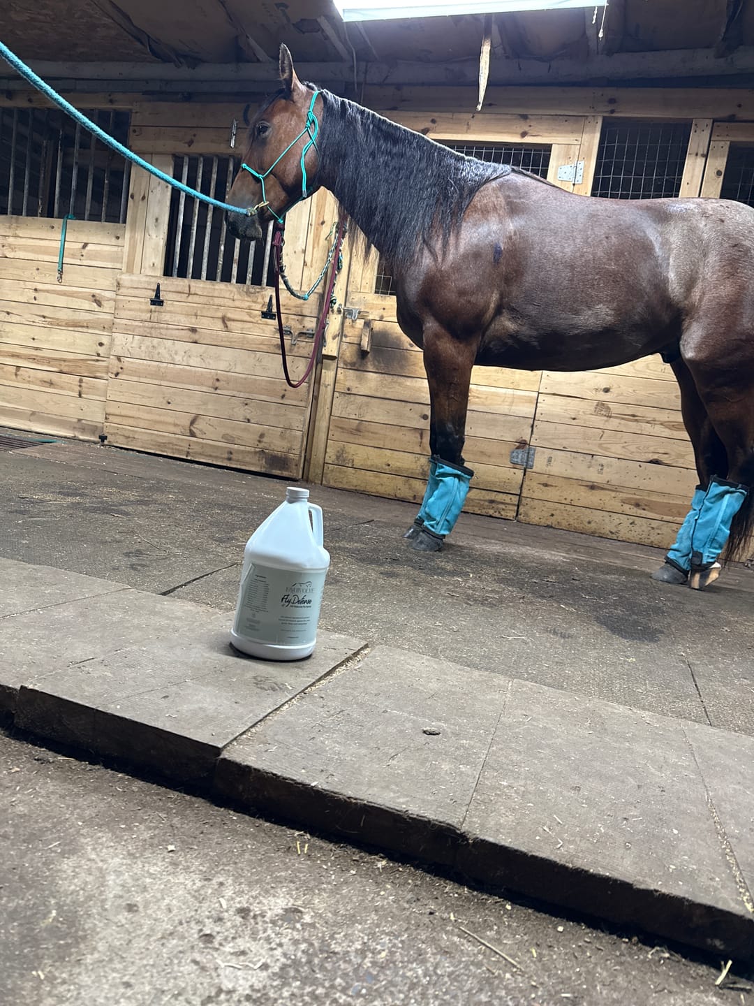Customer photo review of Fly Defense Gallon