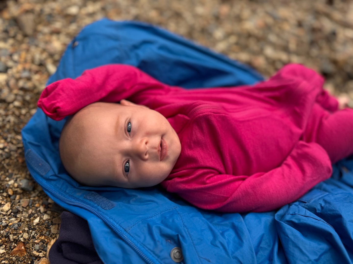 Customer photo review of Merino Wool Adventure Zippy - All Season