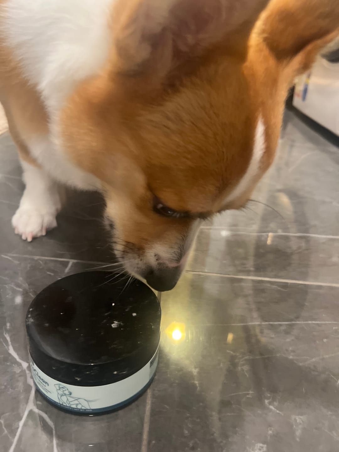 Customer photo review of ProClean™狗狗天然潔牙護齒配方