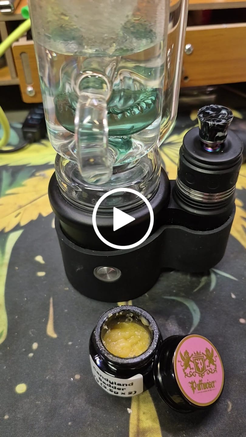 Customer video review of Legendary Badder Candyland 3.5G (BOGO)