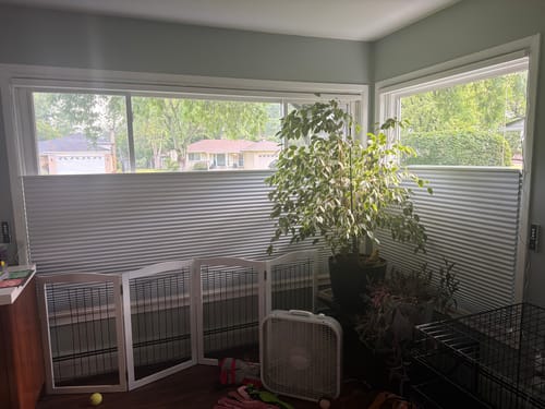 Customer photo review of SmartWings Motorized Blackout Levitate Cellular Shades Nowa