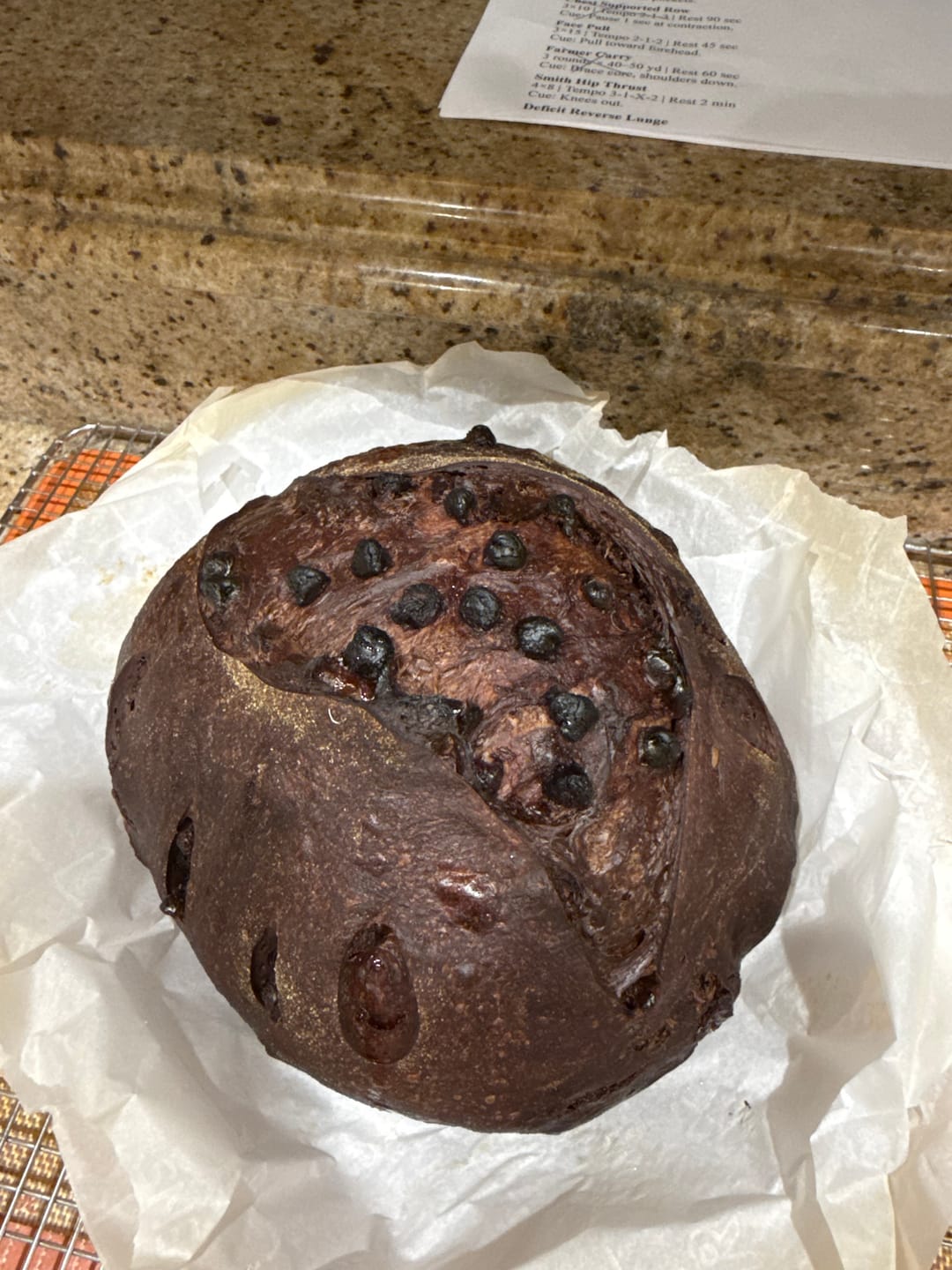 Customer photo review of Live 119 Year Old Valrhona CHOCOLATE Sourdough Starter Includes Maintenance PDF & Chocolate Noir Loaf Recipe