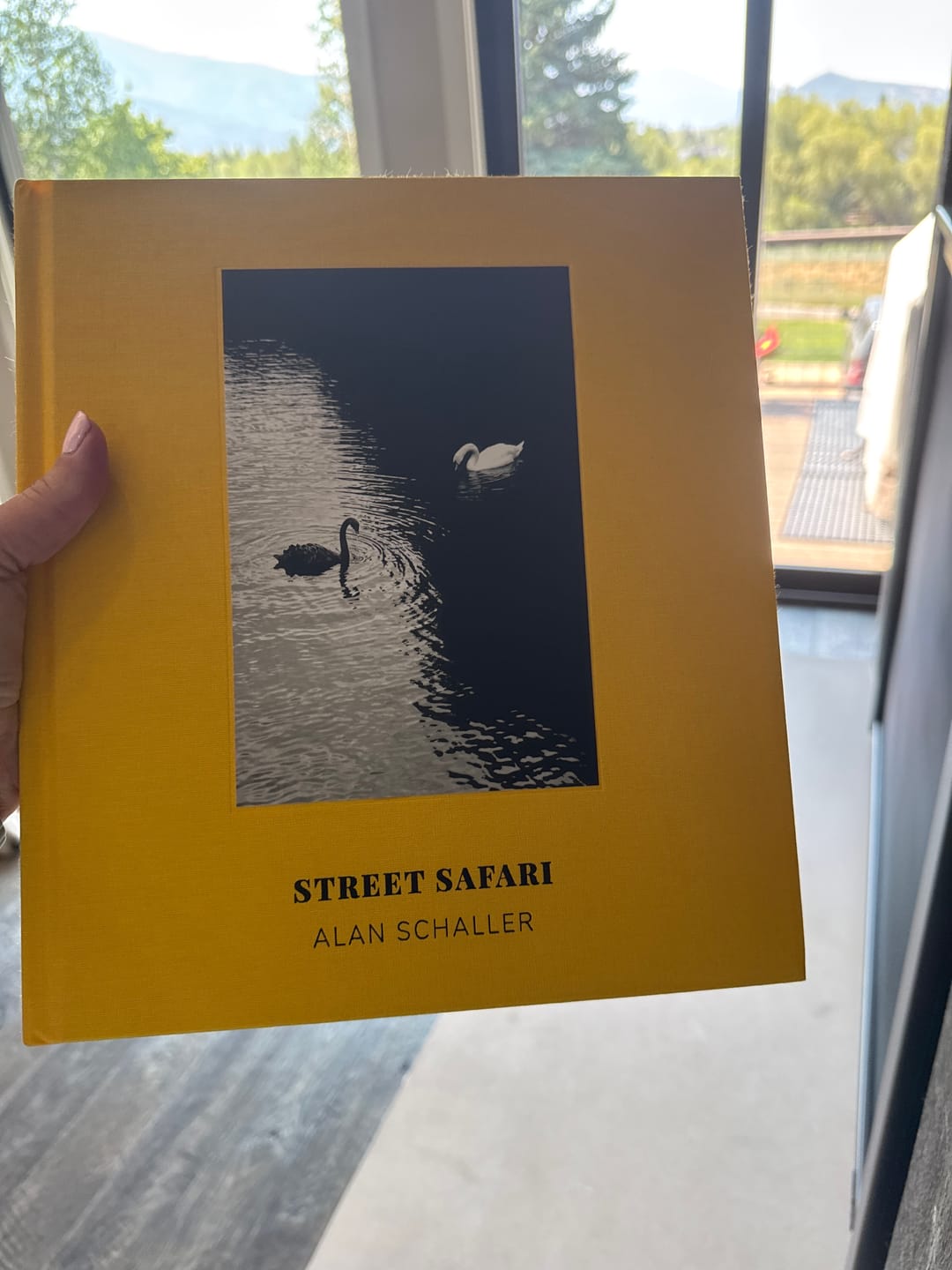 Customer photo review of Street Safari by Alan Schaller – Signed First Edition (Signature Included for the First 400 Orders)