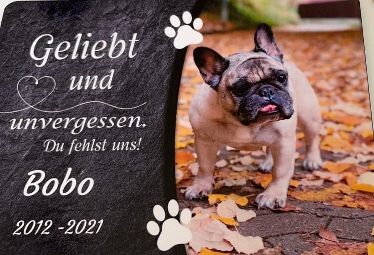 Customer photo review of Hunde Gedenktafel mit Foto & Spruch (UV- & Wetterfest)