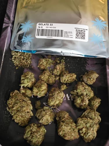 Good Day - 14 Grams - Gelato 33 - Hybrid photo review