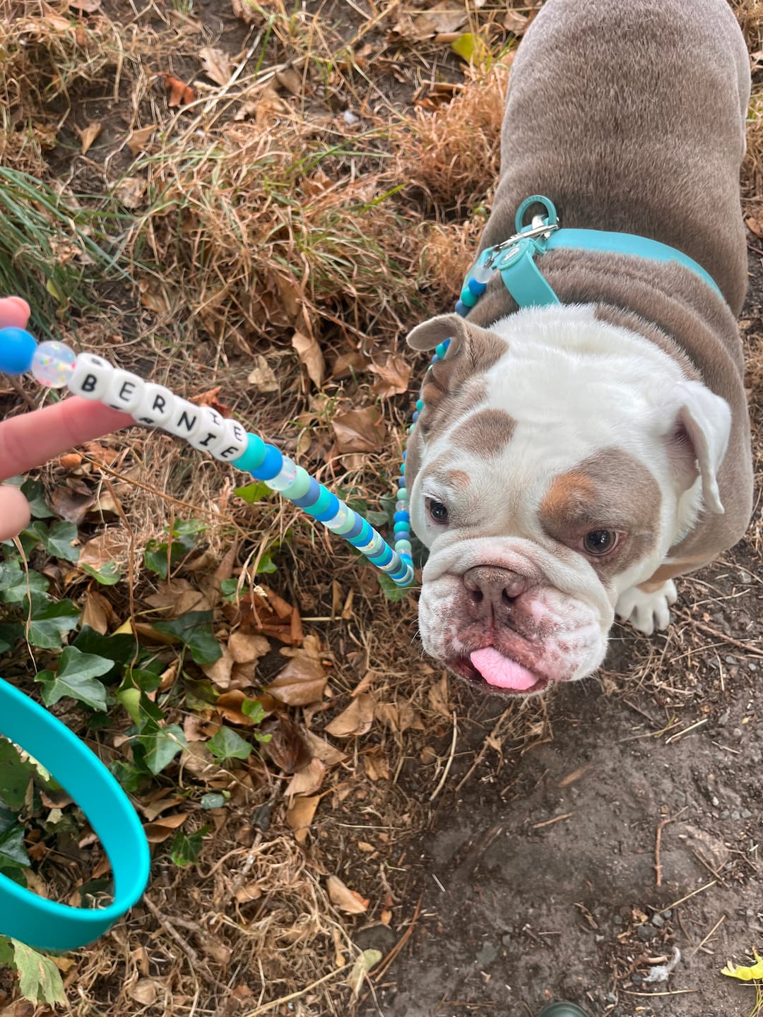 Customer photo review of Alphabet Beaded Dog Lead