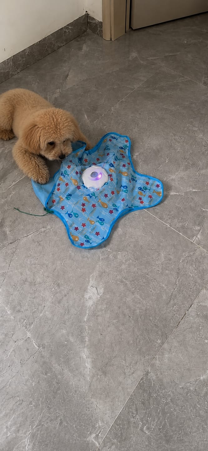 Customer photo review of Pawzzle™ Interactive Dog Toy