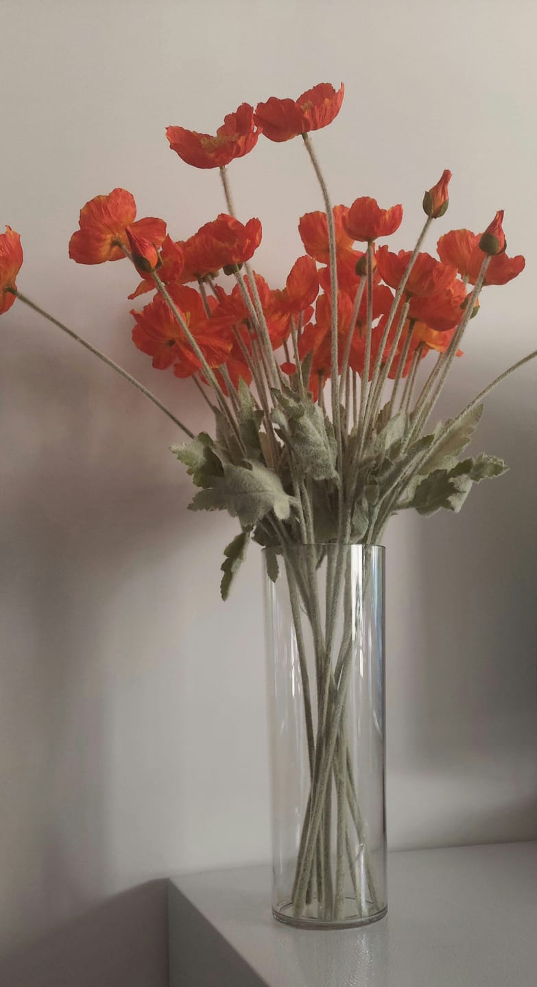 Customer photo review of Coquelicots - Orange (10 tiges)