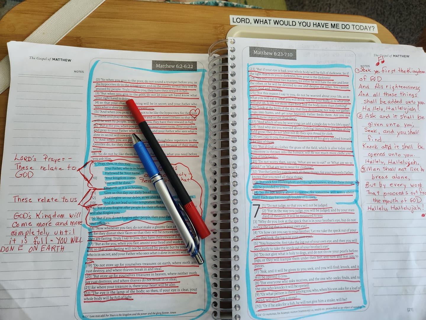 Customer photo review of Spiral Bible™ - NASB - New Testament - Flake