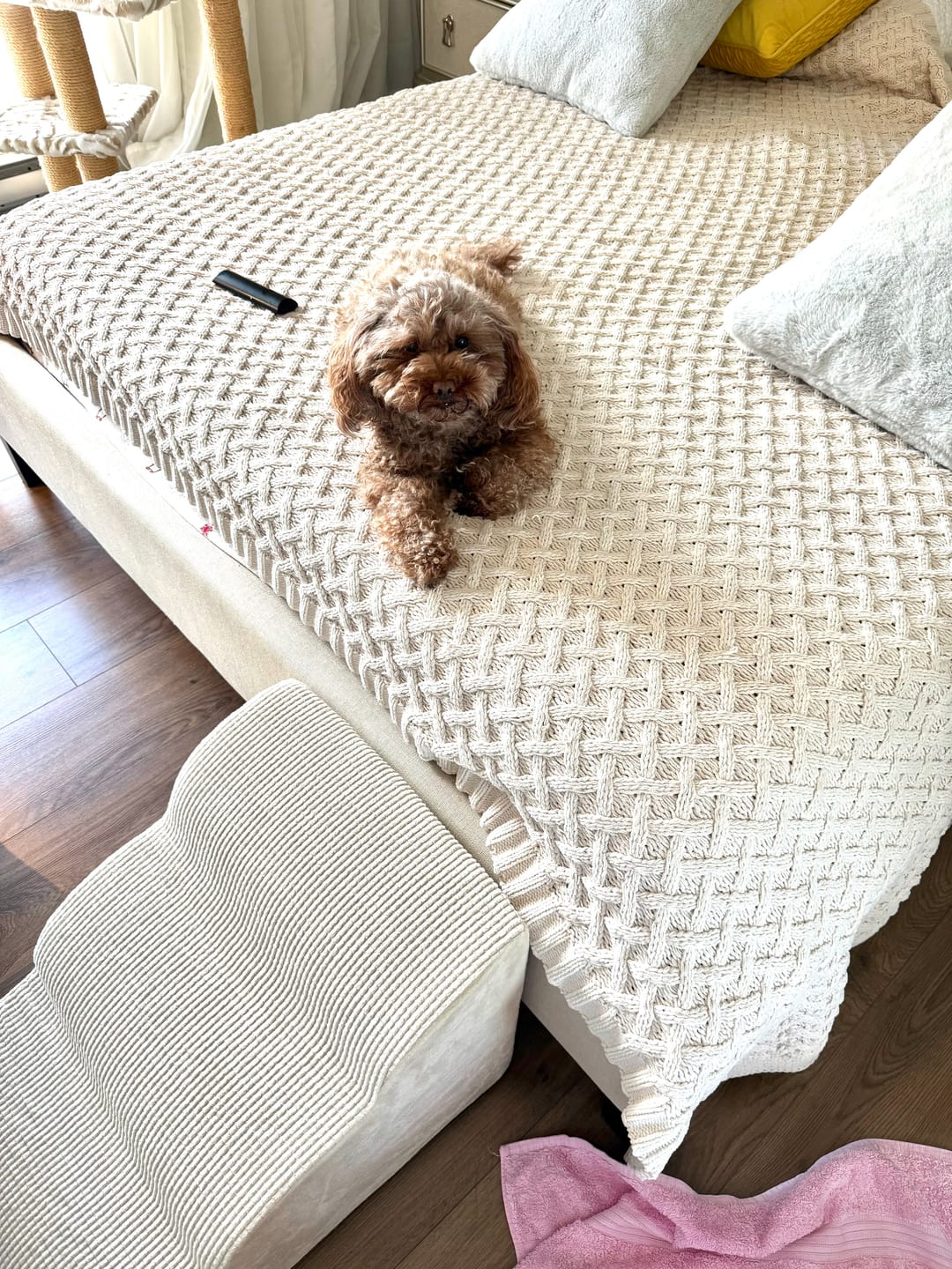 Customer photo review of Stella & Chewy - Raw Coated Nourriture pour chien de petite race