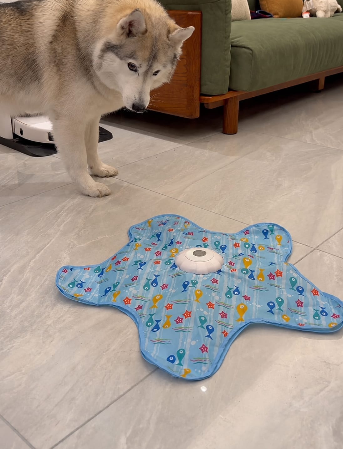Customer photo review of Pawzzle™ Interactive Dog Toy