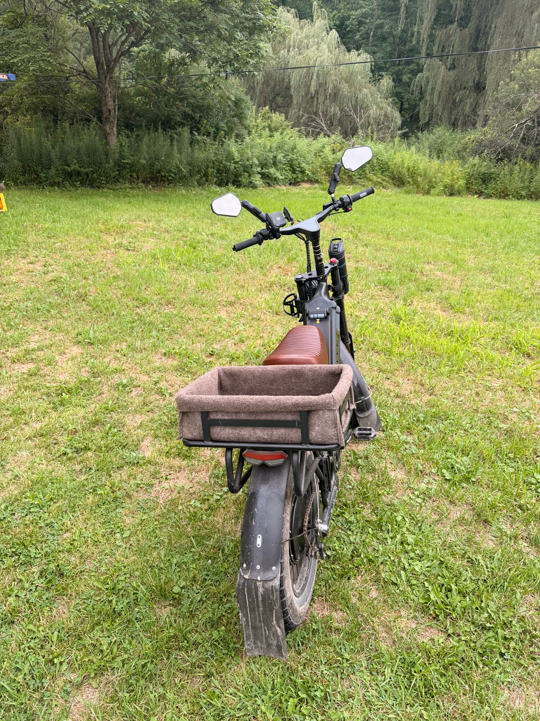 Customer photo review of Wallke Ravager 60V Series Rear Rack & Rear Basket