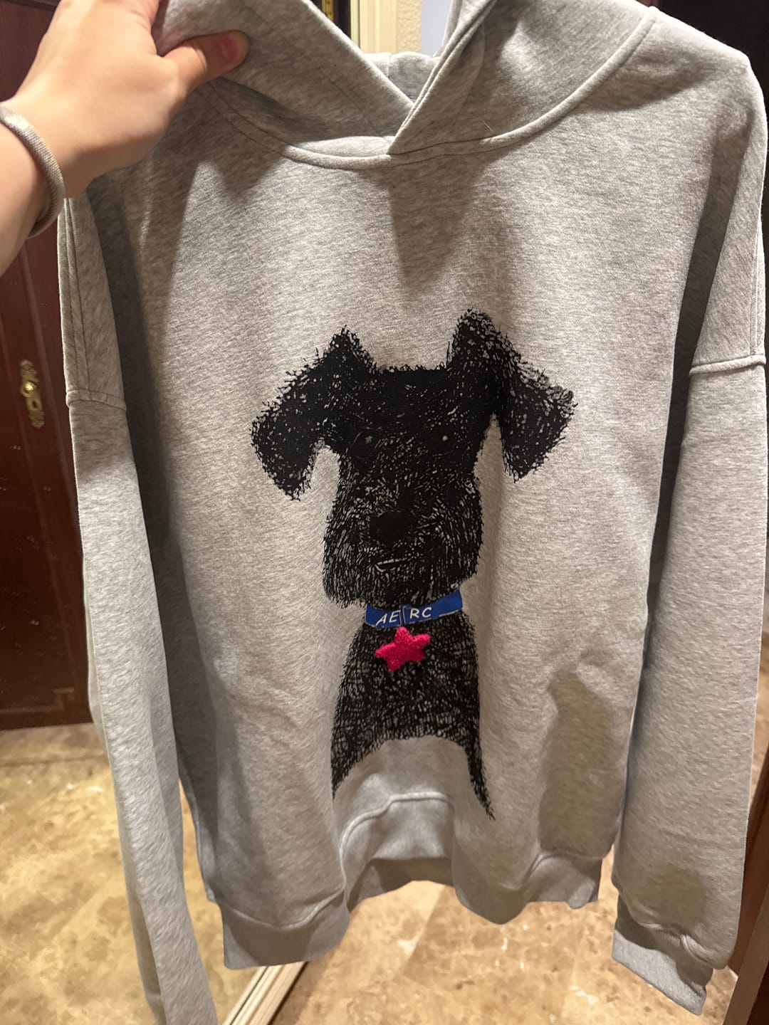 Customer photo review of Aelfric Eden Oversized Graffiti Dog Graphic Hoodie