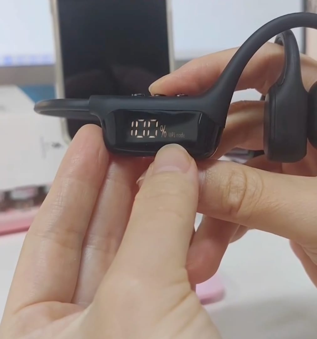 Customer photo review of AudiEar - Earphones