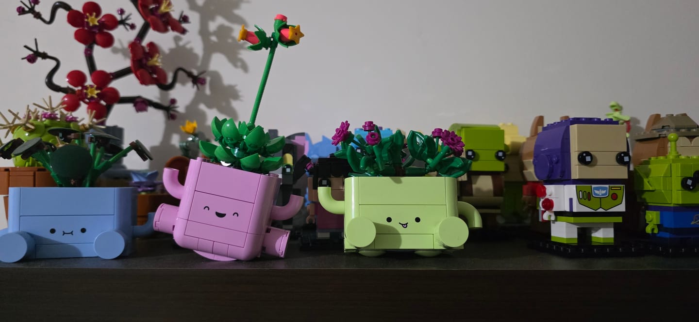 Customer photo review of Plantas Bailarinas
