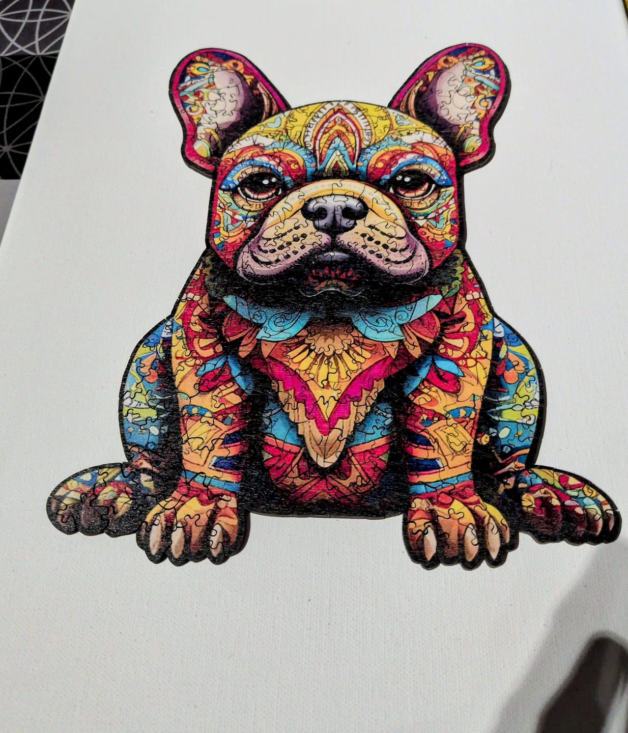 Customer photo review of Puzzle 2D en Bois - Frenchie Festif