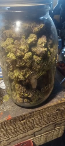 Elite Boutique Exotics - A5 Wagyu - 14 Grams - Hybrid photo review