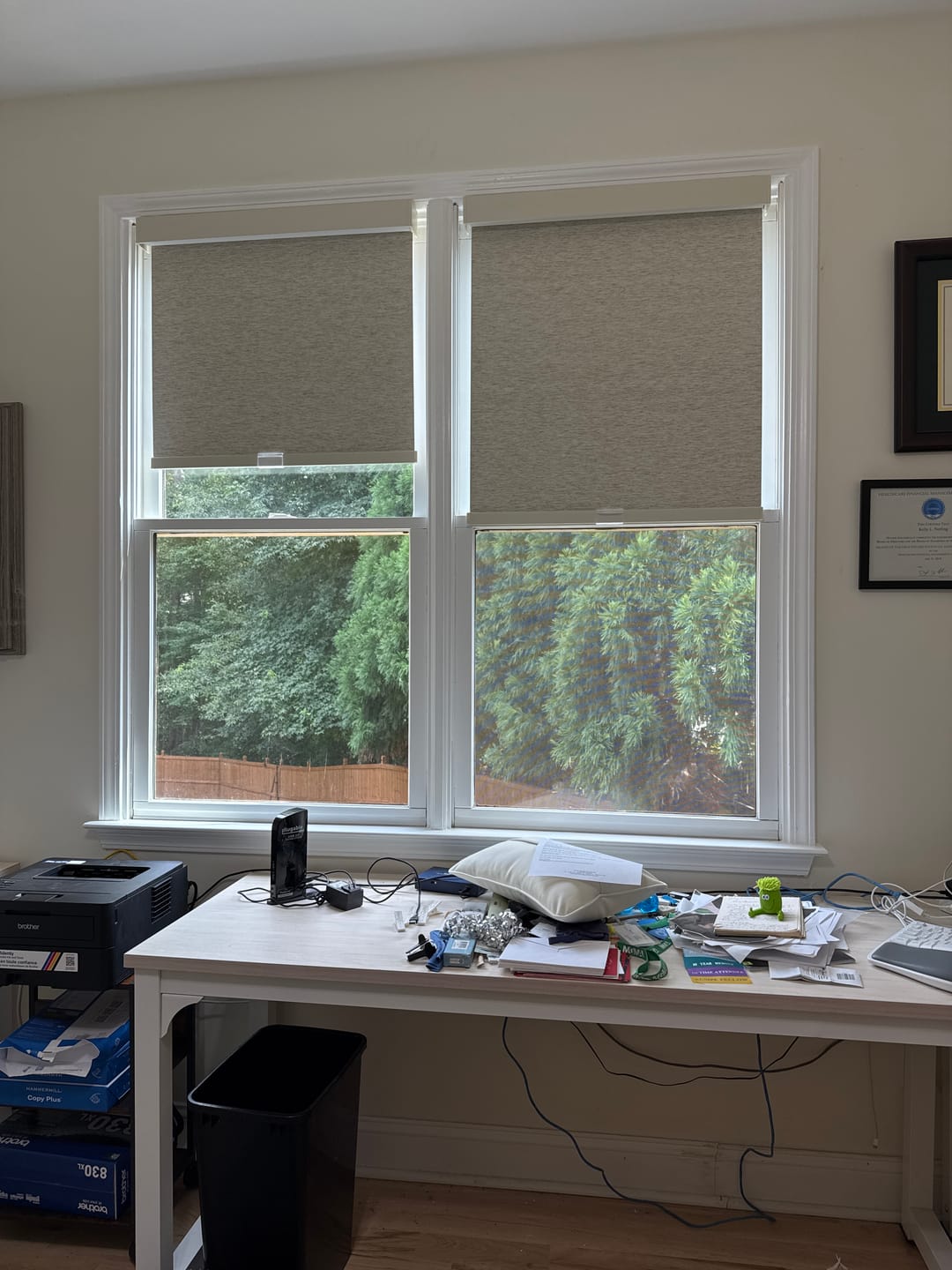 Customer photo review of Blackout Roller Shades