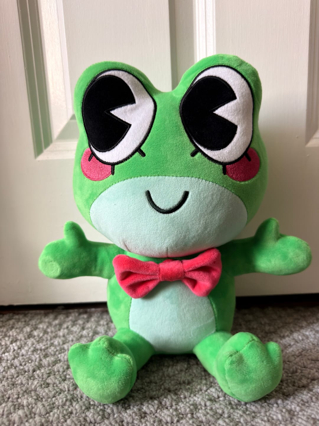 Customer photo review of Ribbit Plush