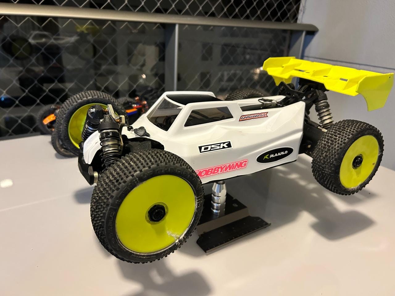 Customer photo review of Rlaarlo 1/8 4WD Buggy Dragon Scale Knight | DSK KIT