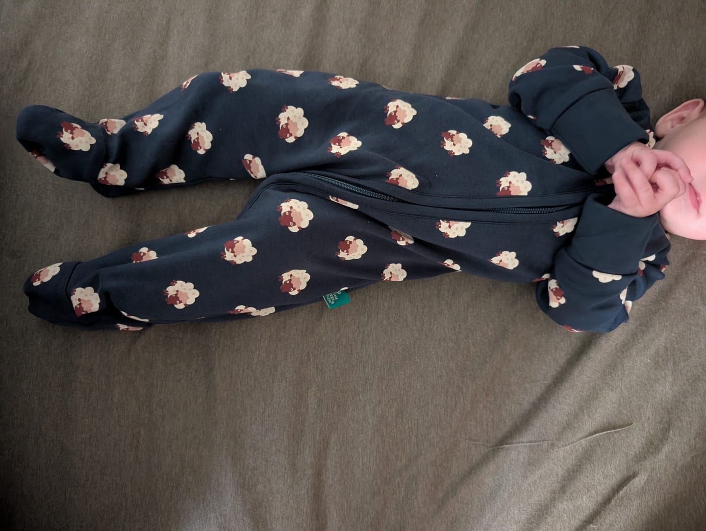 Customer photo review of Sleeping Sheep Zip Organic Babygrow