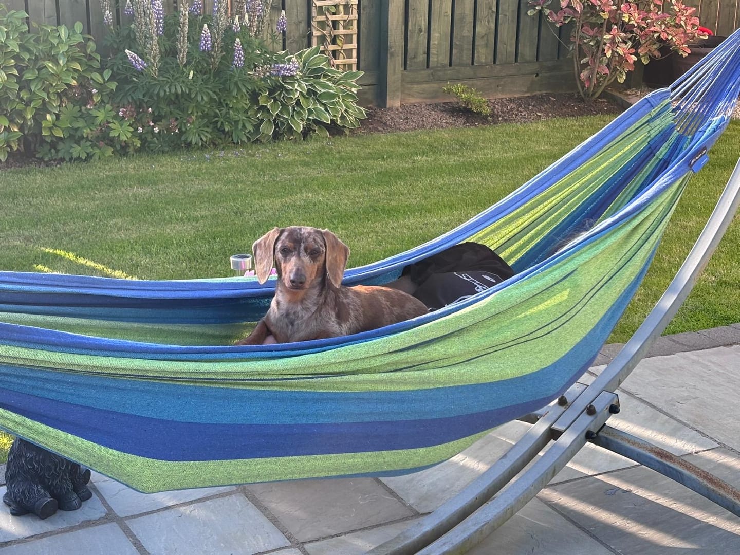 Customer photo review of Baby Fresh Dog Cologne