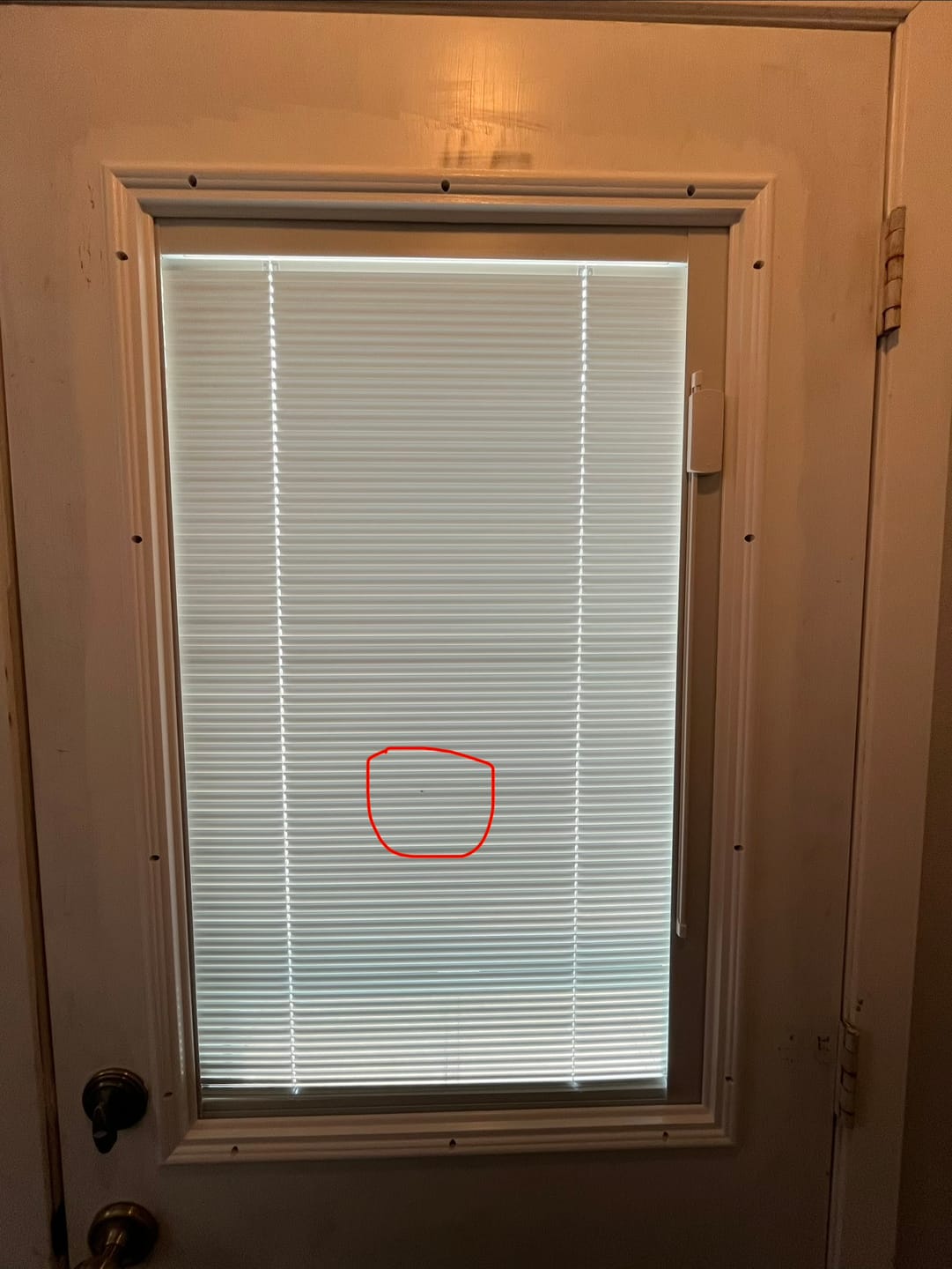 Customer photo review of Half Lite Frame Kit