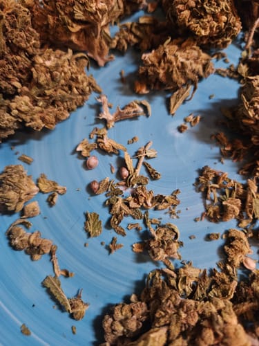 Boutique Exotics Coffin Candy - 4 Grams - Hybrid photo review