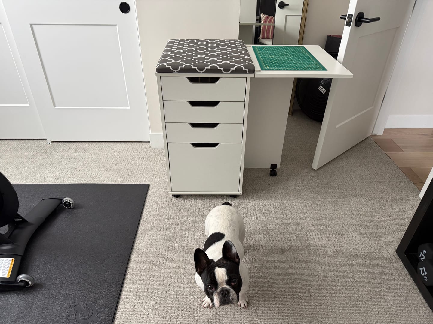 Customer photo review of Kangaroo Kiwi Multi-Use Cabinet