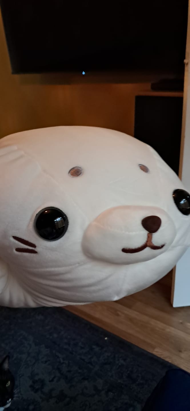 Customer photo review of Squishy Baby Seal Plushie