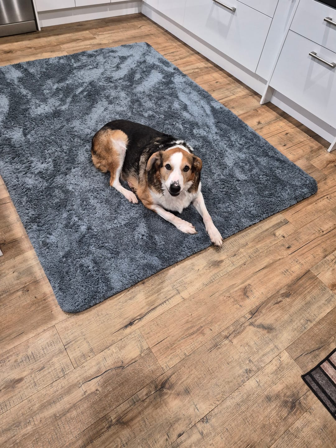 Customer photo review of Shaggy Relax Mat - 35mm Memory Foam Base