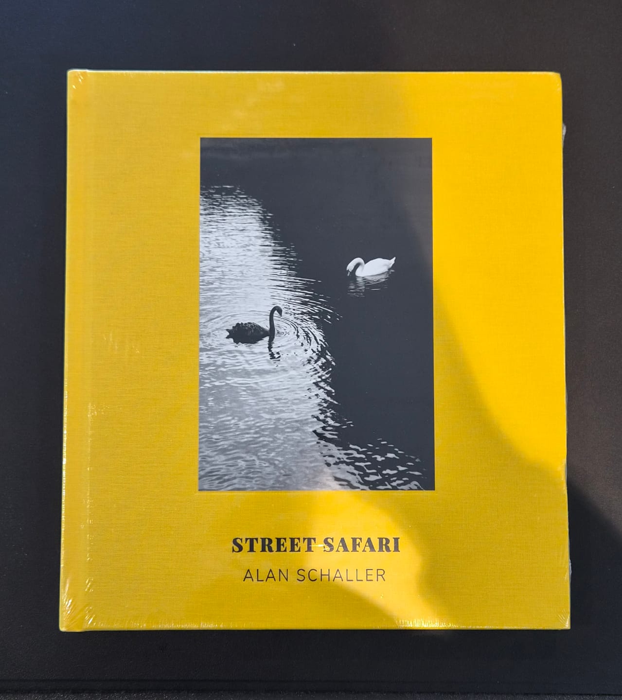 Customer photo review of Street Safari by Alan Schaller