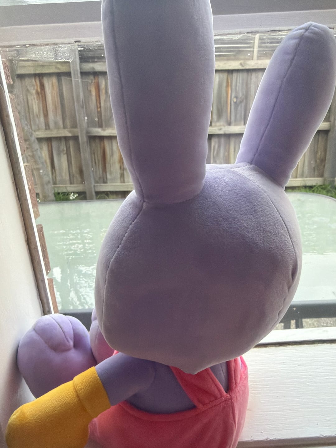Customer photo review of Jax Plush