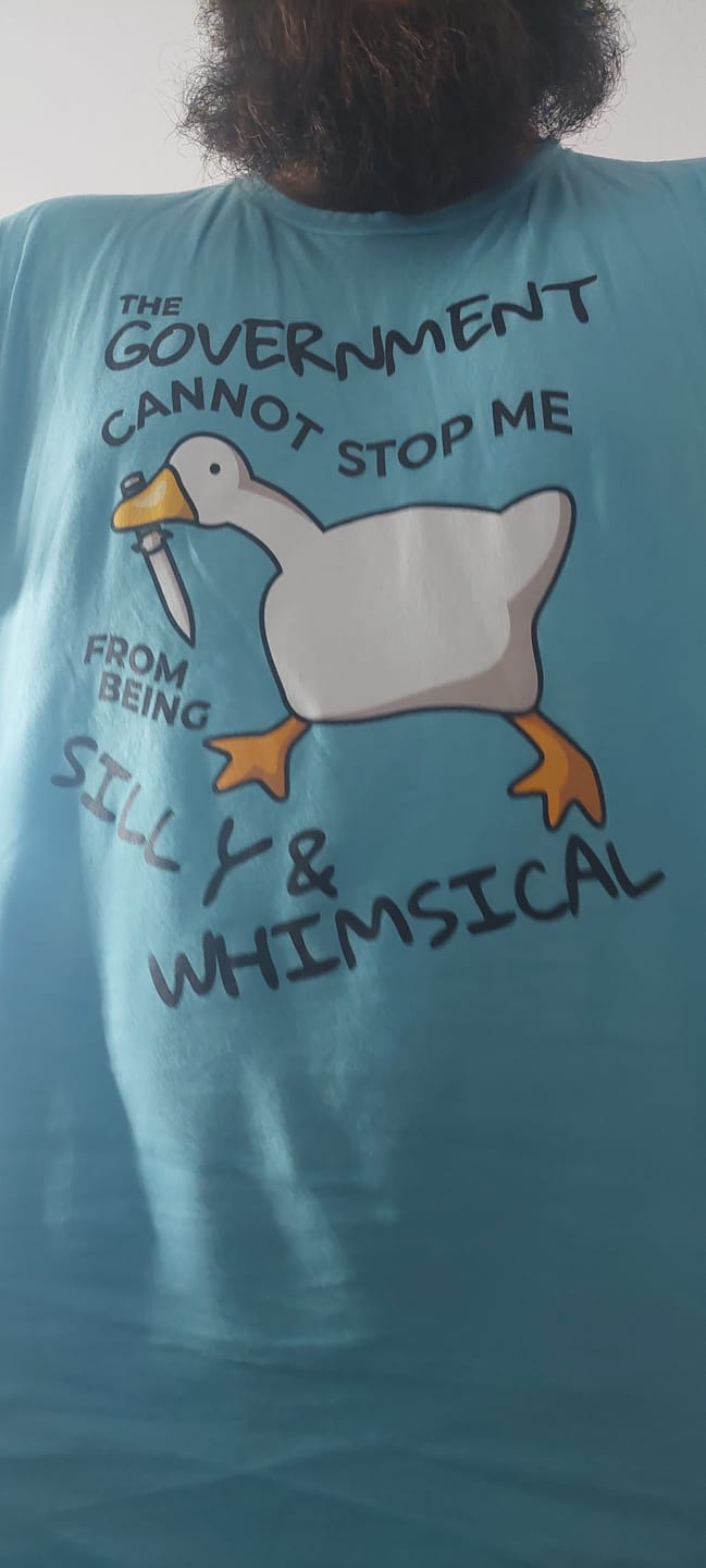 Customer photo review of The Government Cannot Stop Me From Being Silly & Whimsical Unisex t-shirt