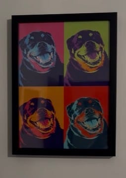 Customer photo review of Color Squares - Personalized Poster