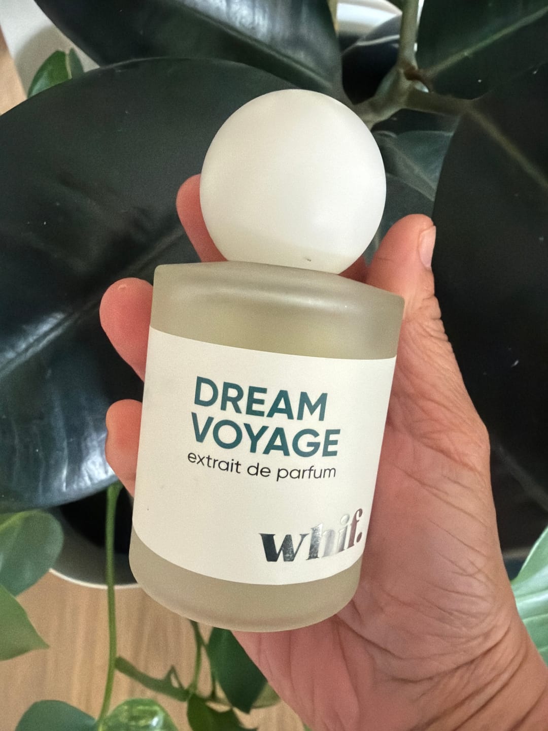 Customer photo review of Dream Voyage