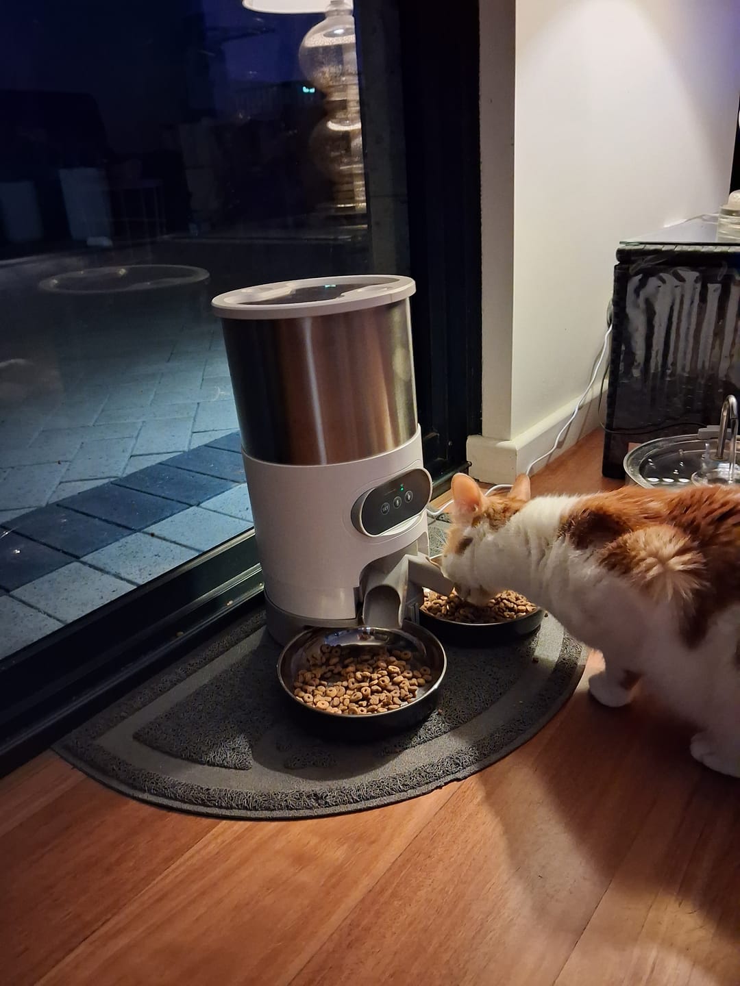 Customer photo review of SmartFeed 4.5L WiFi Automatic Pet Feeder | App-Controlled with Dual Bowls for Multiple Pets