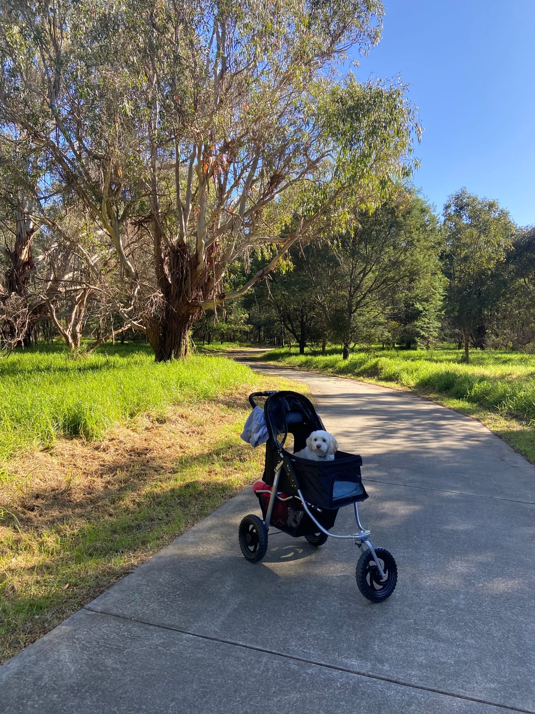 Customer photo review of Pet Dog Stroller Pram - Black