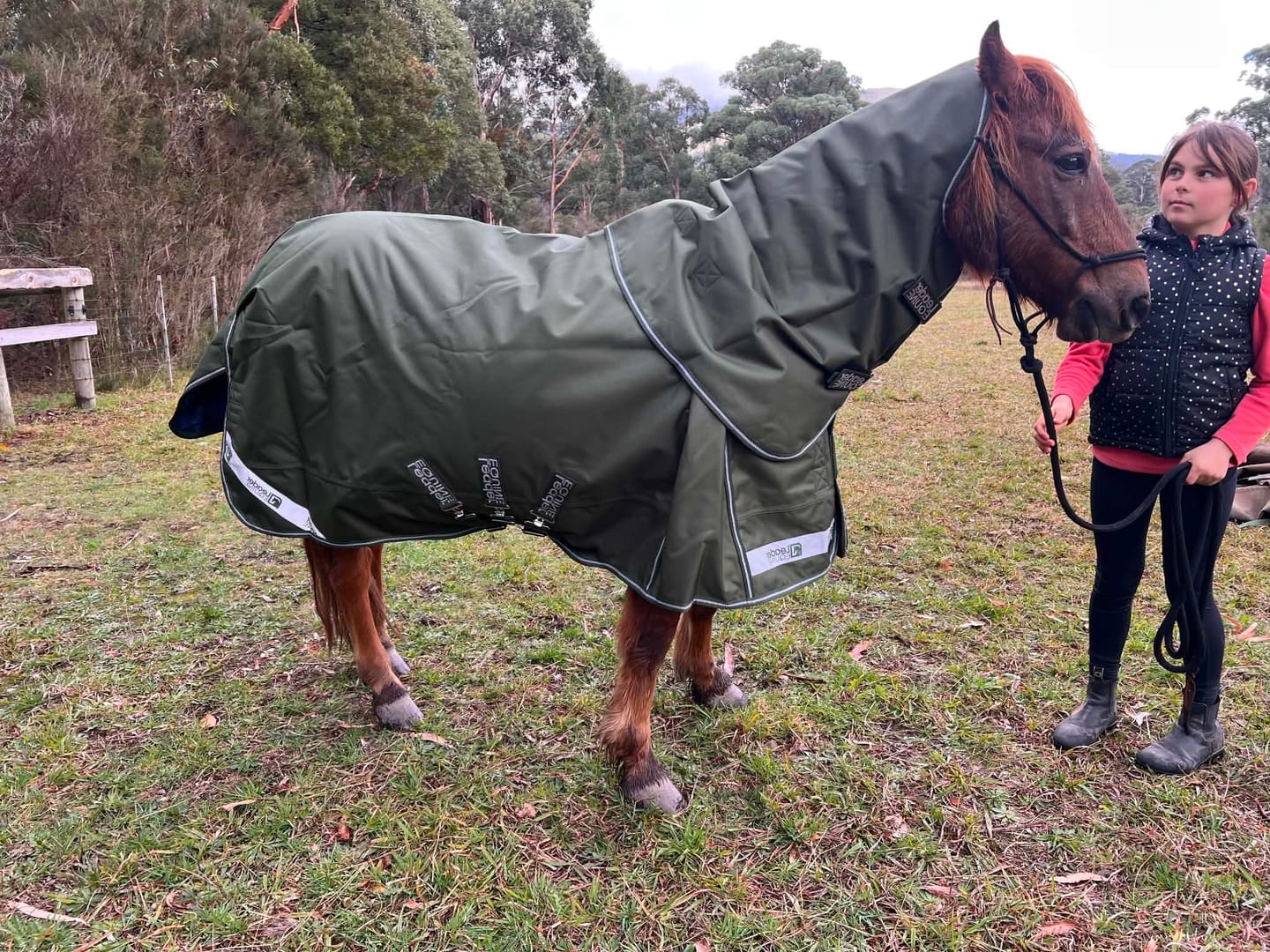 Customer photo review of LE Boxter Pony Turnout 50g