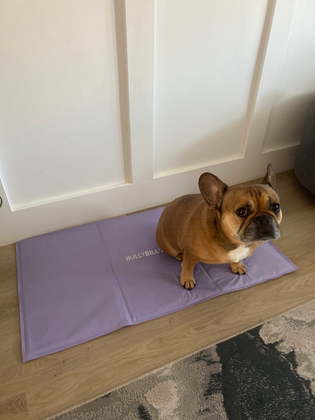 Customer photo review of Arctic Cooling Mat