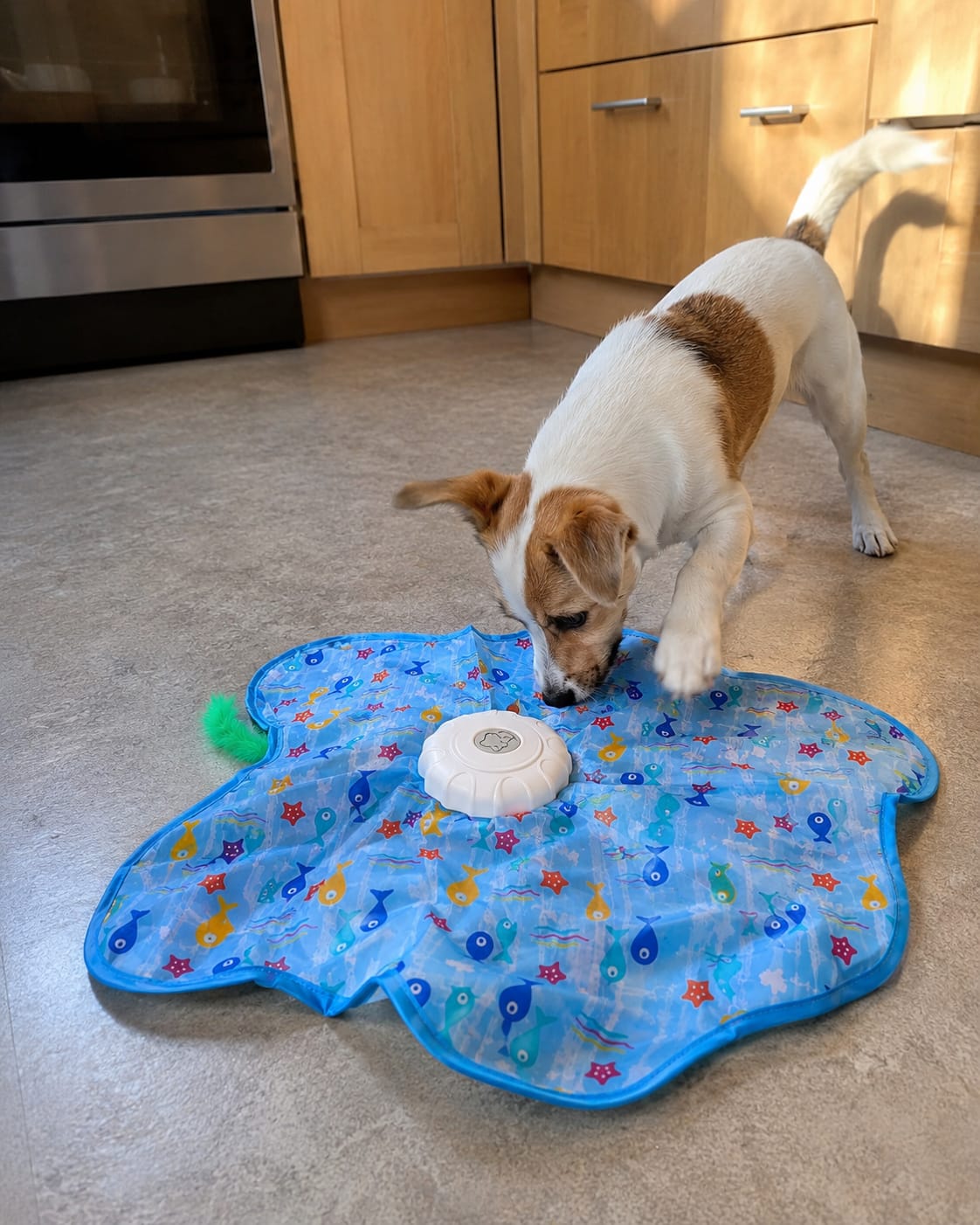 Customer photo review of Pawzzle™ Interactive Dog Toy