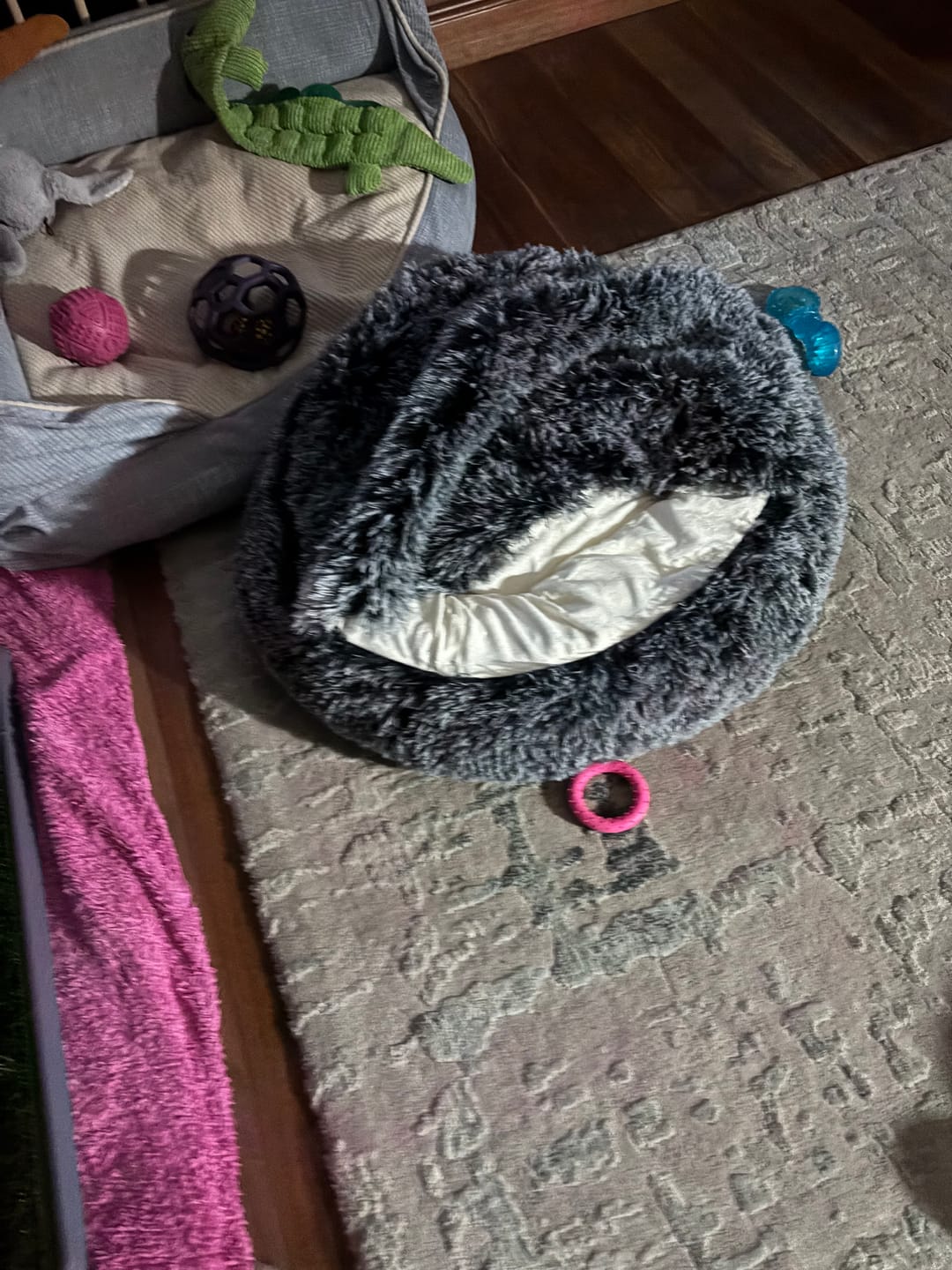 Customer photo review of Pet Cave Dog Bed - Removable Cover