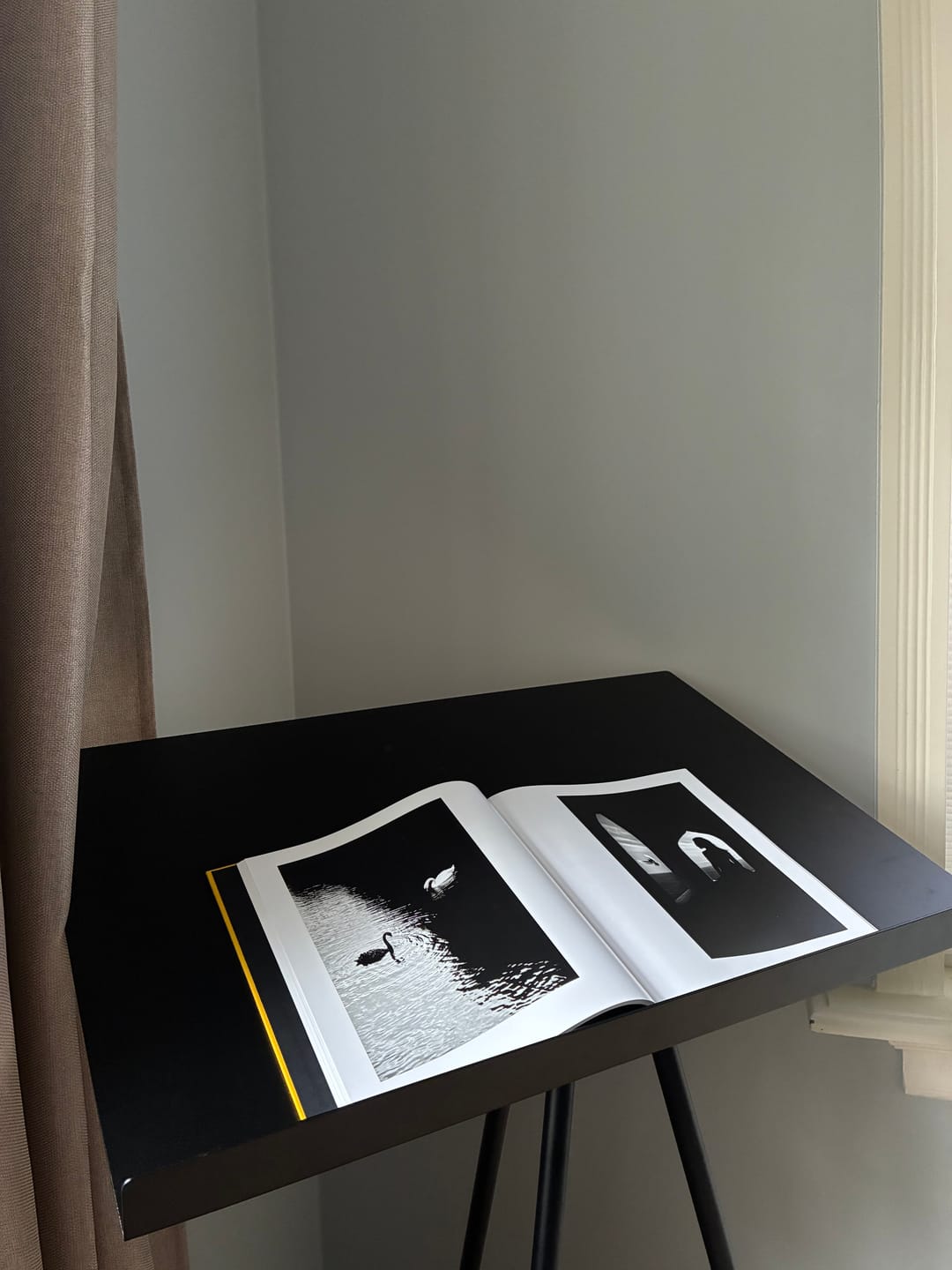 Customer photo review of Street Safari by Alan Schaller – Signed First Edition (Signature Included for the First 400 Orders)